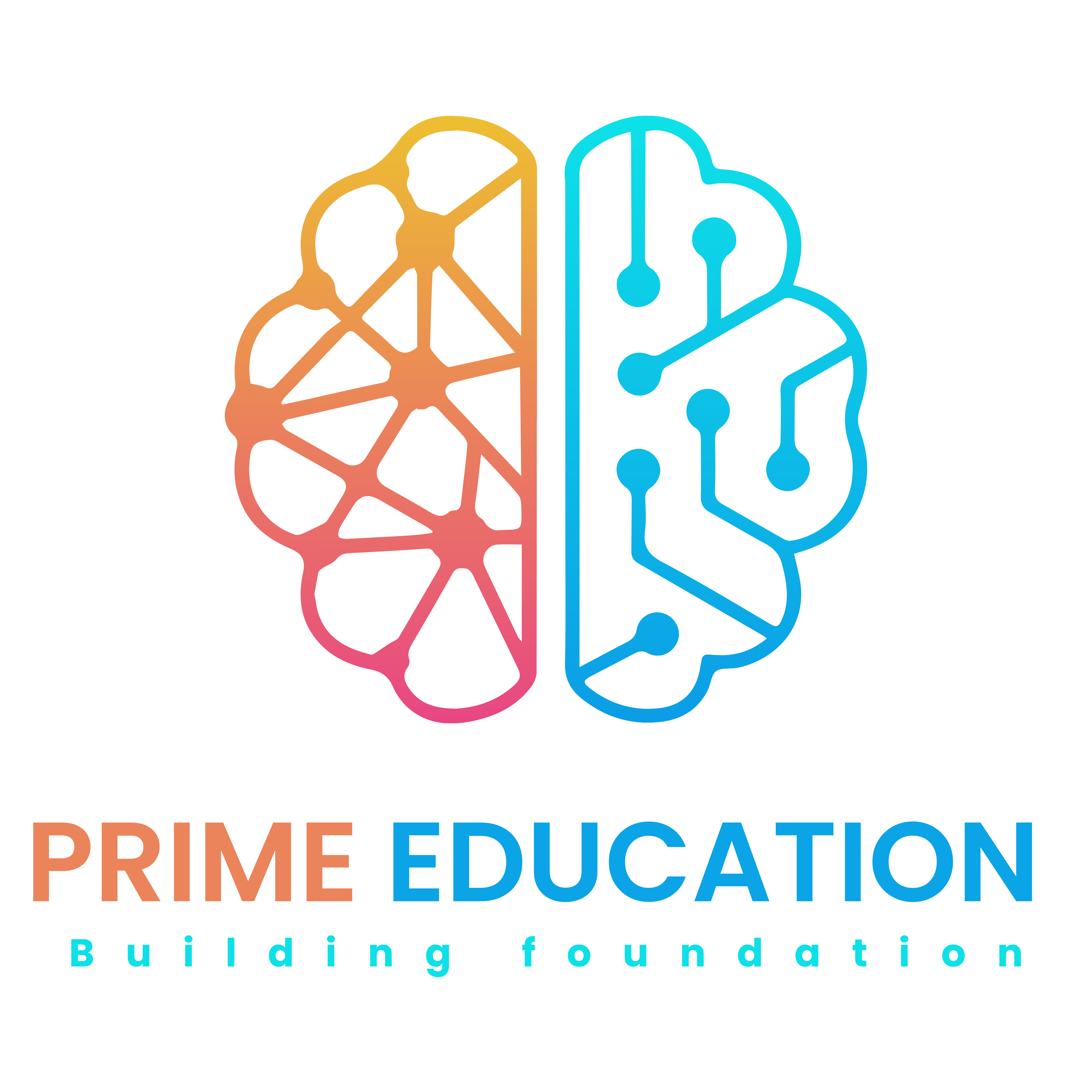 Prime Education Delhi
